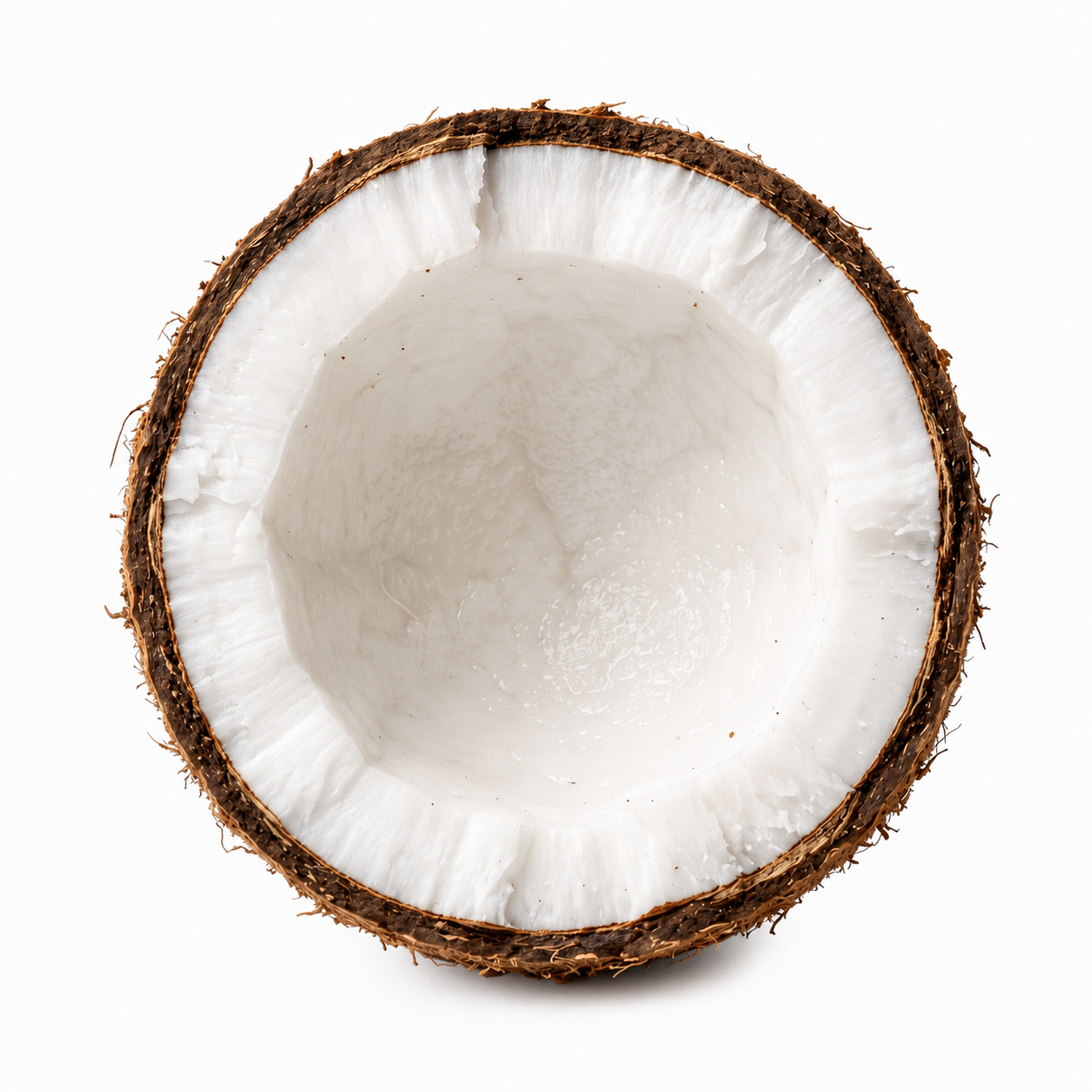 halved coconut white flesh macro texture